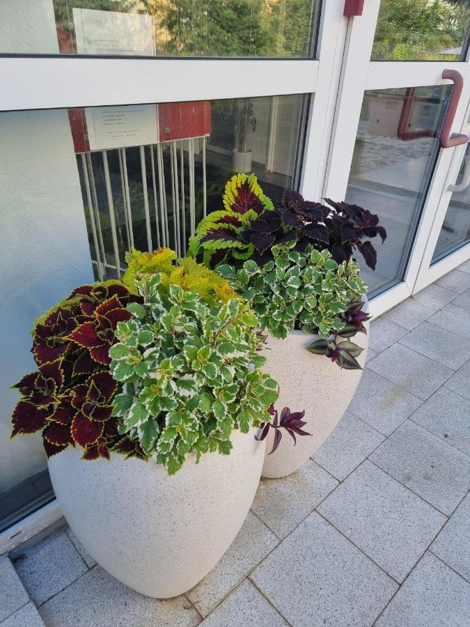 Apartment A7 U Jenicka V Chomutove
